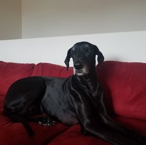 Meet your Posher, Jackie